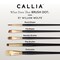 Willow Wolfe Callia Artist Mixed Media Fine Round Brush Set-Fine Rounds